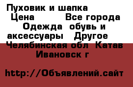 Пуховик и шапка  Adidas  › Цена ­ 100 - Все города Одежда, обувь и аксессуары » Другое   . Челябинская обл.,Катав-Ивановск г.